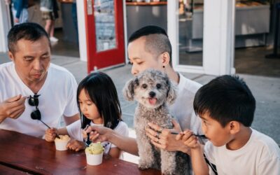 Inside The Traditional Japanese Family Finest Cuisines